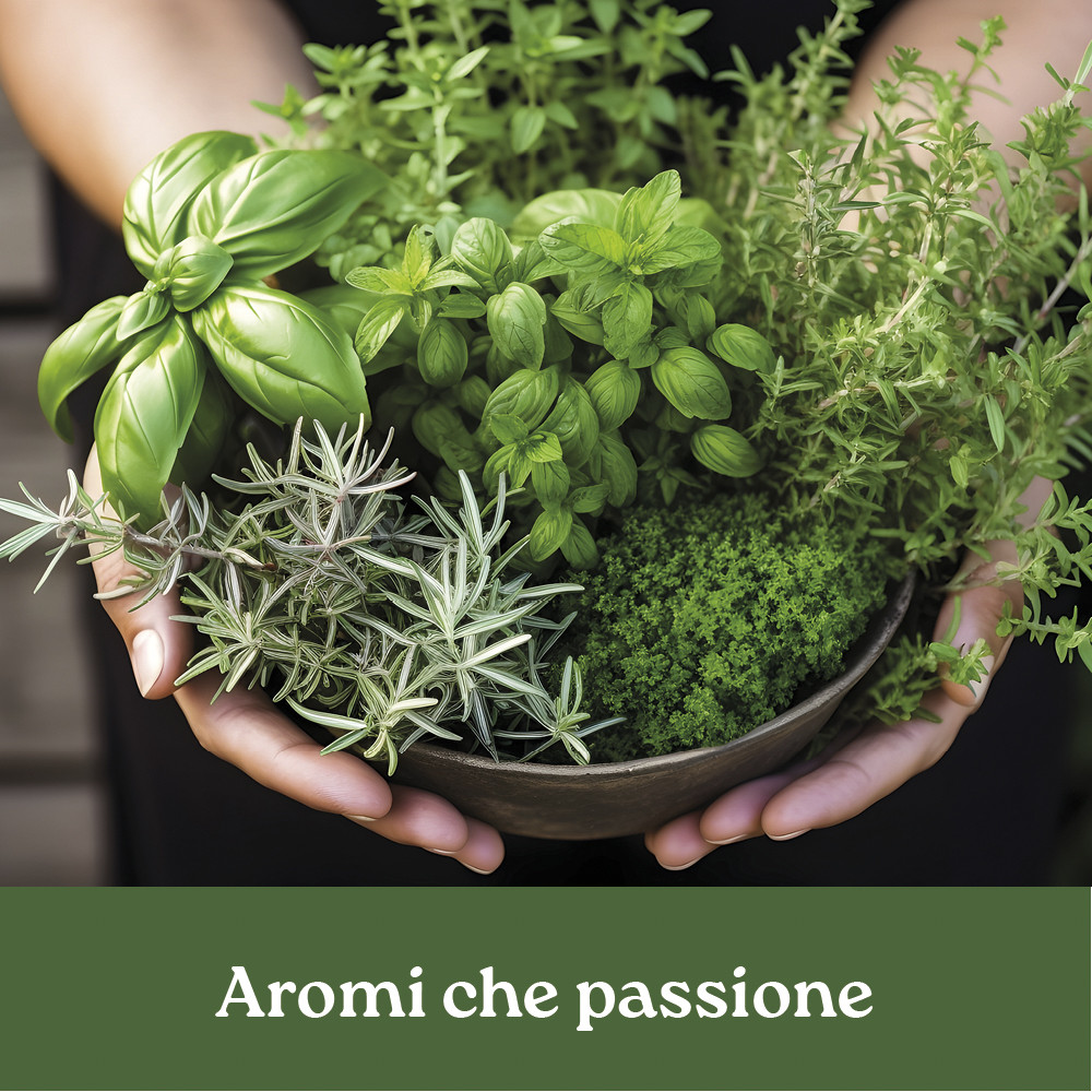 AROMI CHE PASSIONE