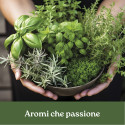 AROMI CHE PASSIONE