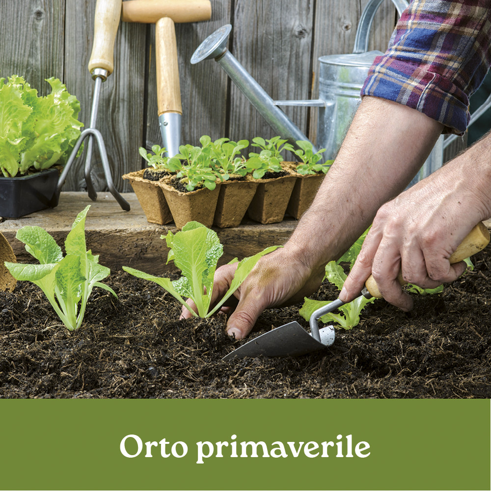 ORTO PRIMAVERILE