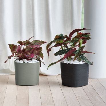 VASO CAPRI D.38 SAND 2