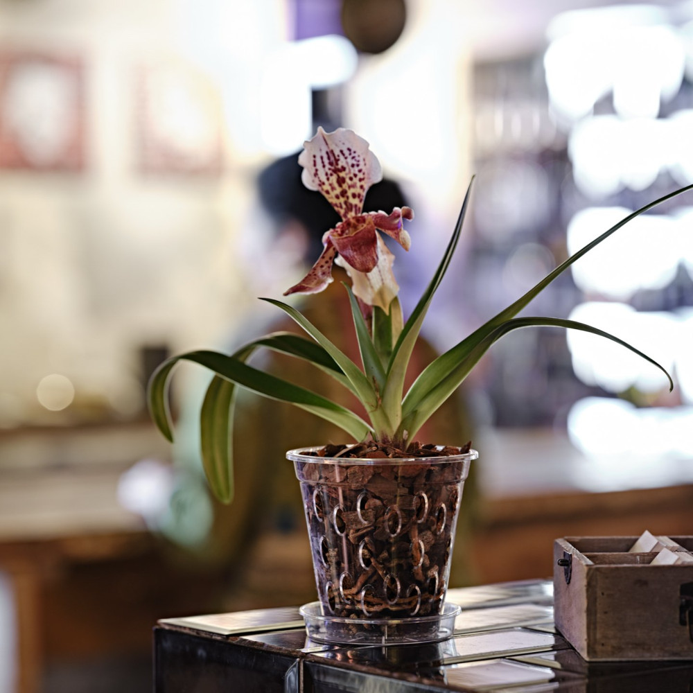 VASO FLORES 14 TRASP.