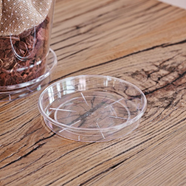 S/V PLATO 12 TRASP. 2