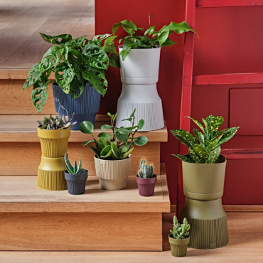 VASO MINI 18 CLOVER 2