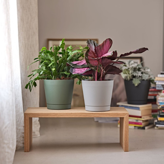 VASO ORIONE D.24 ASH