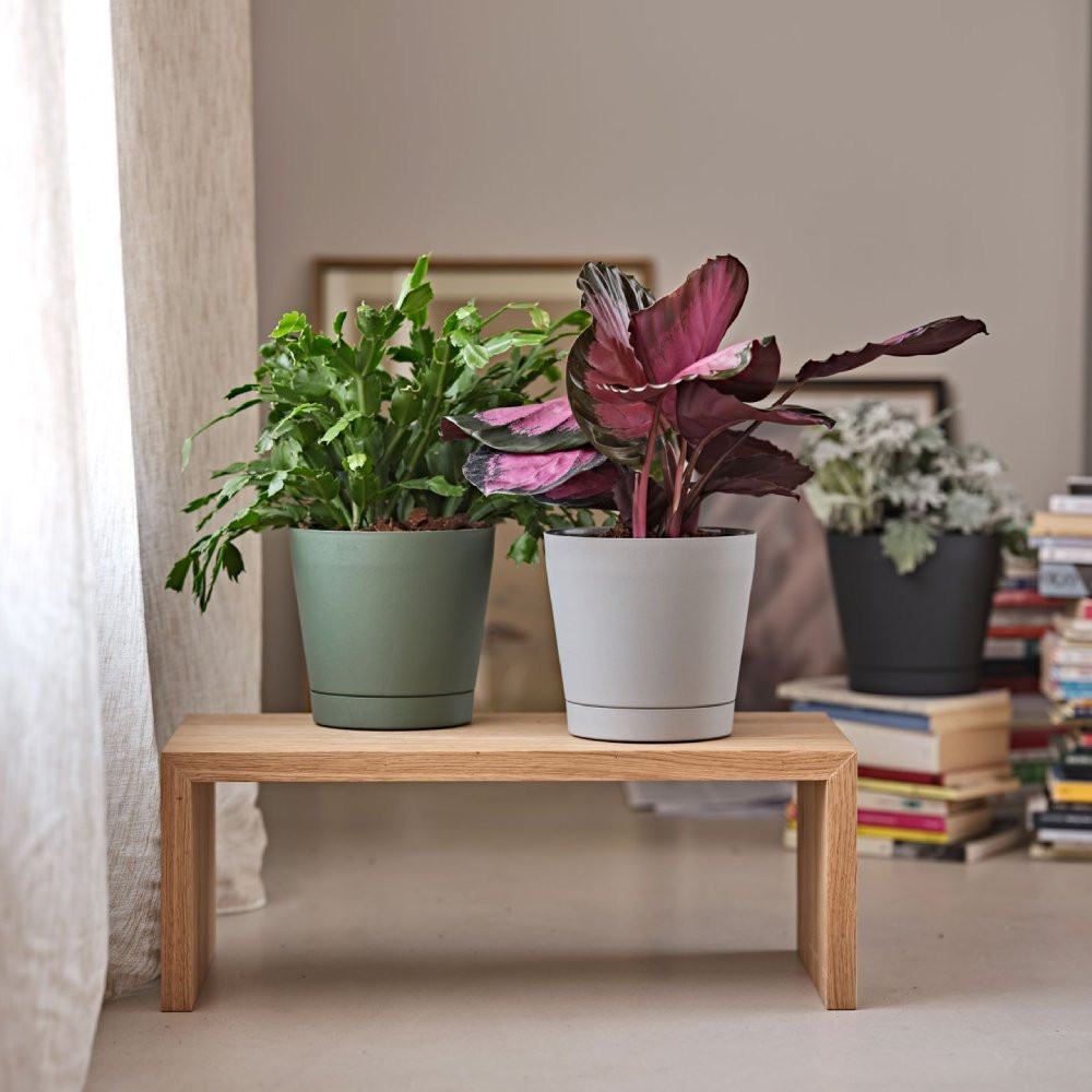 VASO ORIONE D.24 BLUSH