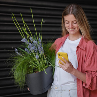 CASS.VEGA 40 CLOUD 2