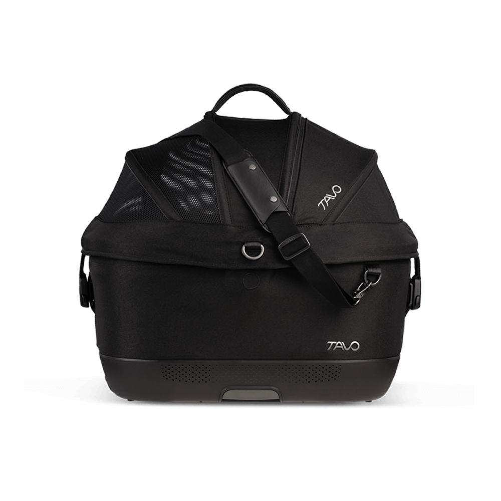 MAEVE ISO5X MERLE (BLK)