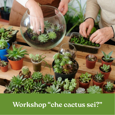 WORKSHOP CHE CACTUS SEI?