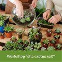 WORKSHOP CHE CACTUS SEI?