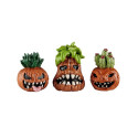 TOOTHY PUMPKINS, SET OF 3