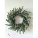 CORONA D41CM PINO FROSTED