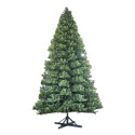 PINO ELEGANT 600CM D320CM 8272TIPS PVC