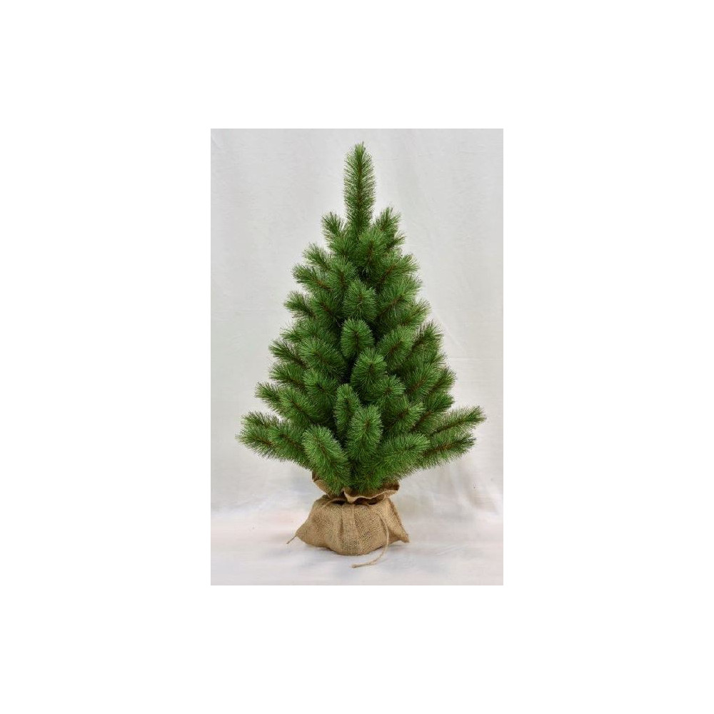 PINO EVERGREEN MINI 60 CM CON SACCO