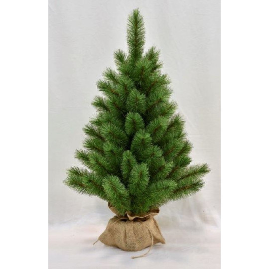 PINO EVERGREEN MINI 60 CM CON SACCO