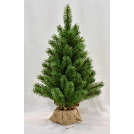 PINO EVERGREEN MINI 90 CM CON SACCO