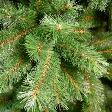 PINO EVERGREEN MINI 90 CM CON SACCO 2