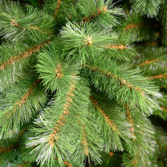 PINO EVERGREEN MINI 90 CM CON SACCO