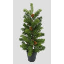 PINO IN VASO H57CM CON PIGNE VERDE