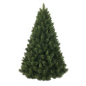 PINO LIVIGNO 240CM D154 MIX NEEDLE 1317T