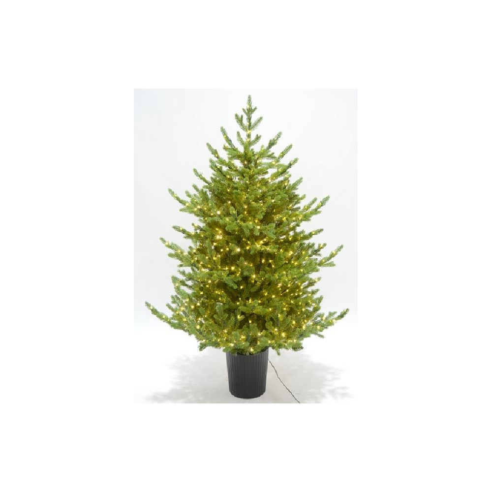 PINO REGAL H120CM VASO 500MICROLED CALD