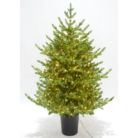 PINO REGAL H120CM VASO 500MICROLED CALD