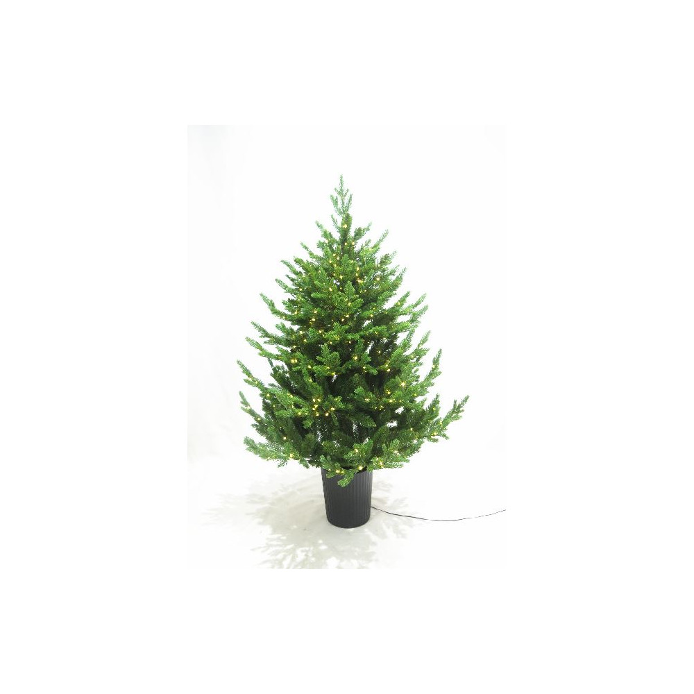 PINO REGAL H120CM VASO 500MICROLED CALD