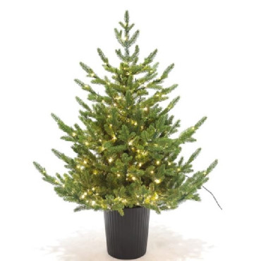 PINO REGAL H90CM VASO 300MICROLED CALDO