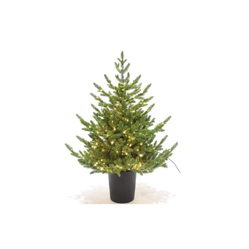 PINO REGAL H90CM VASO 300MICROLED CALDO