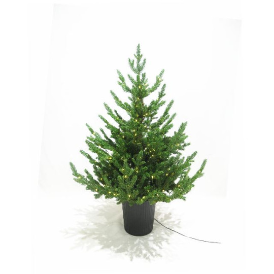 PINO REGAL H90CM VASO 300MICROLED CALDO
