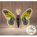 FARFALLA LED VER BLU 40CM MOVIM C/T 5M C
