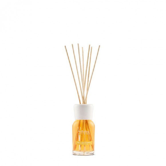 DIFFUSORE A STICK 100 ML LEGNI E FIORI D 2