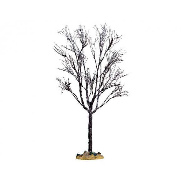 BUTTERNUT TREE LARGE