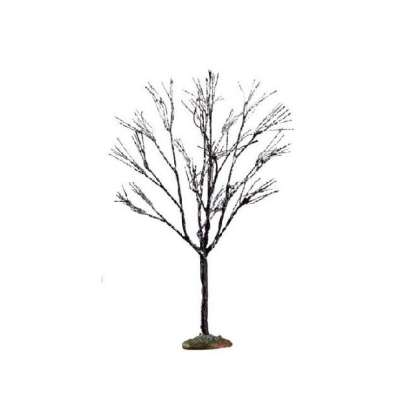 BUTTERNUT TREE SMALL