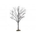 BUTTERNUT TREE SMALL