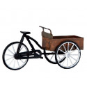 CARRY BIKE