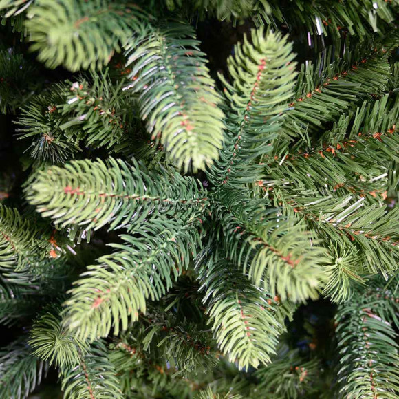 PINO ALBERTA 180 CM 2