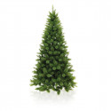 PINO EVERGREEN 270 CM