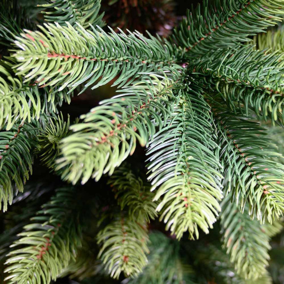 PINO ROYAL SLIM 240 CM 2