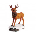 STAG