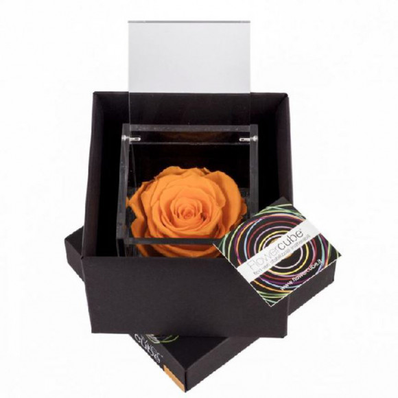 FLOWERCUBE 10X10 ARANCIO