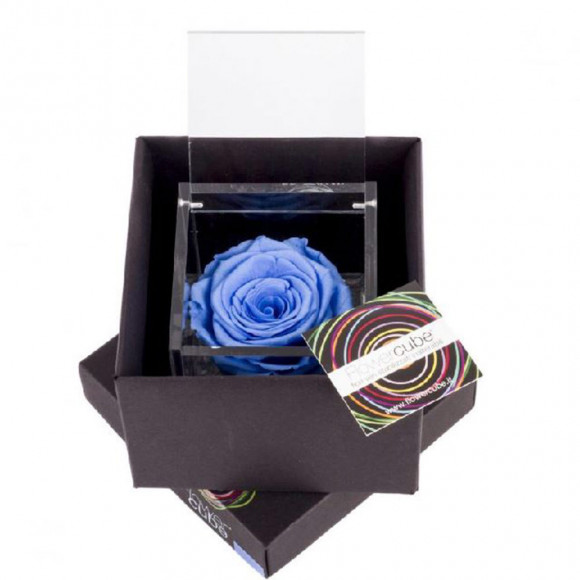 FLOWERCUBE 10X10 AZZURRO