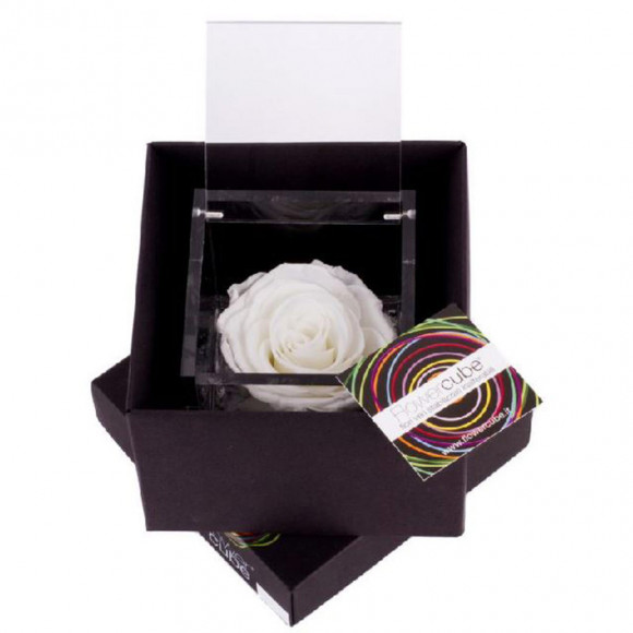 FLOWERCUBE 10X10 BIANCO