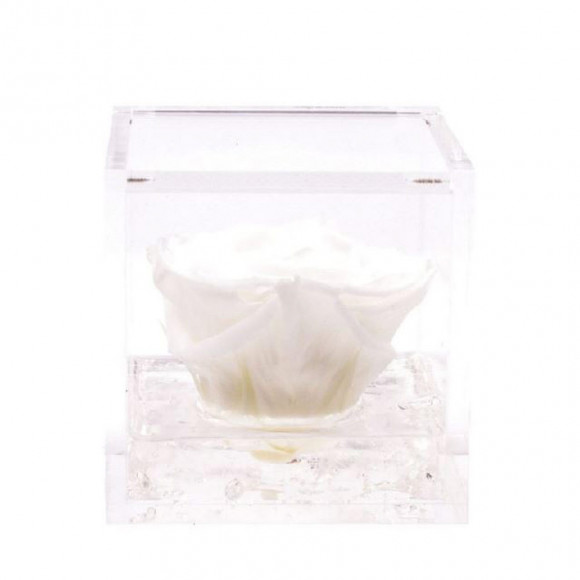 FLOWERCUBE 10X10 BIANCO 2