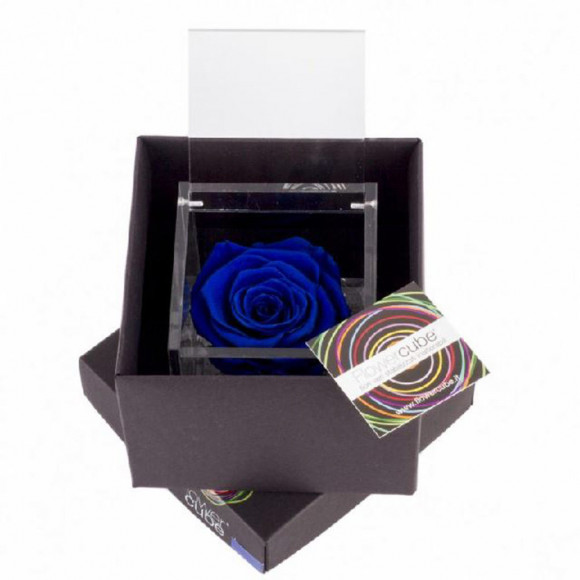 FLOWERCUBE 10X10 BLU