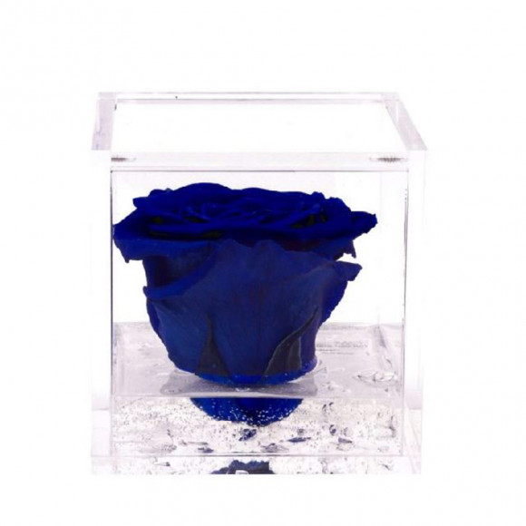 FLOWERCUBE 10X10 BLU 2