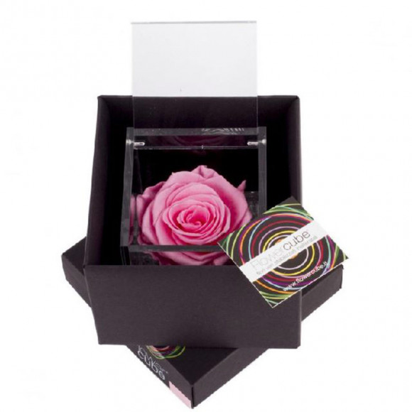 FLOWERCUBE 10X10 ROSA