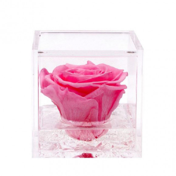 FLOWERCUBE 10X10 ROSA 2