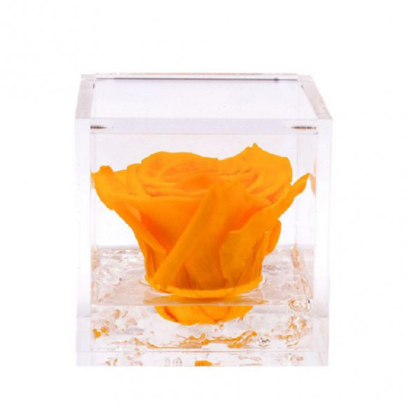 FLOWERCUBE 6X6 GIALLO 2