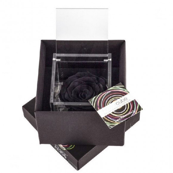 FLOWERCUBE 6X6 NERO