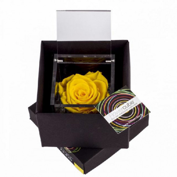 FLOWERCUBE 8X8 GIALLO